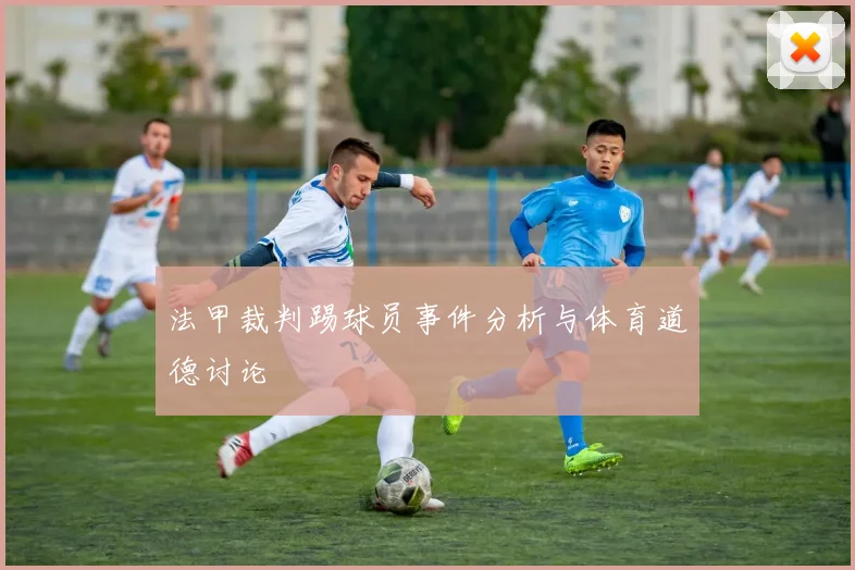 法甲裁判踢球员事件分析与体育道德讨论