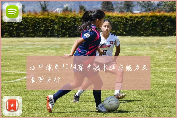 法甲球员2024赛季战术适应能力及表现分析